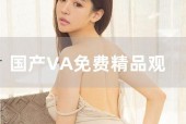 国产va在线视频
